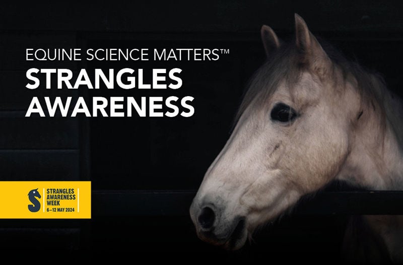 Equine Science Matters™: Strangles Awareness
